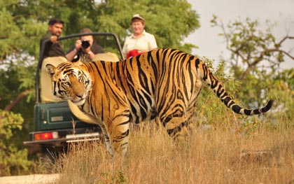 Wildlife India Tour of North India