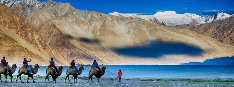 Ladakh Trekking & Monastery Tour India